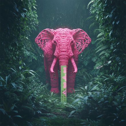 Samurai Shoelace  Curiosity series: Pink Elephant nespresso kávékapszula 10db